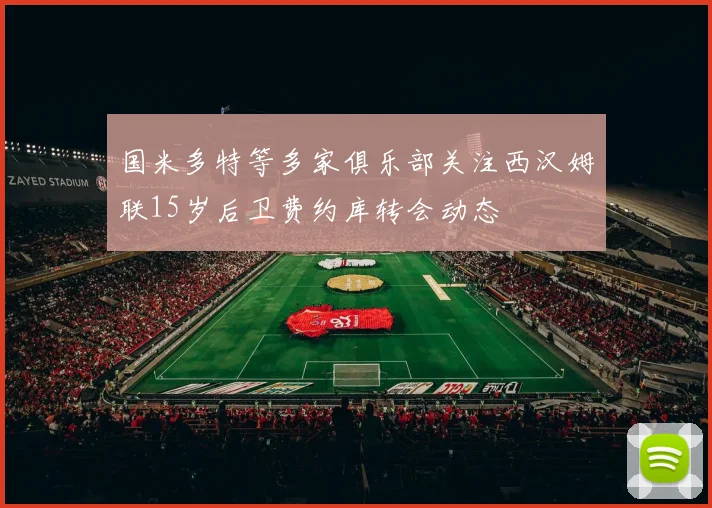 国米多特等多家俱乐部关注西汉姆联15岁后卫费约库转会动态