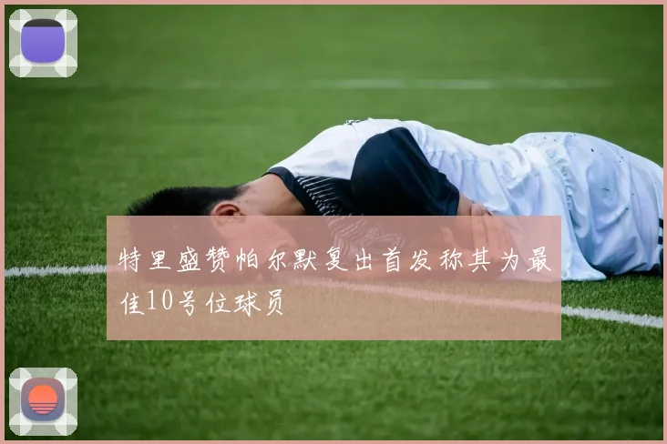 特里盛赞帕尔默复出首发称其为最佳10号位球员