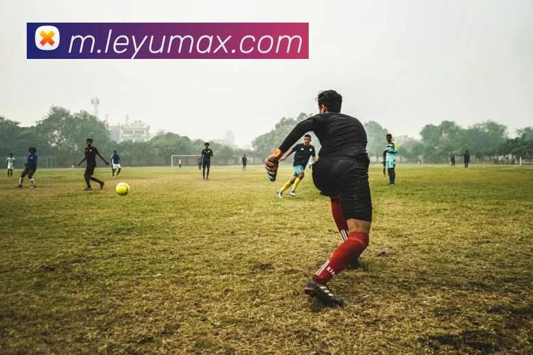 乐鱼体育品牌故事