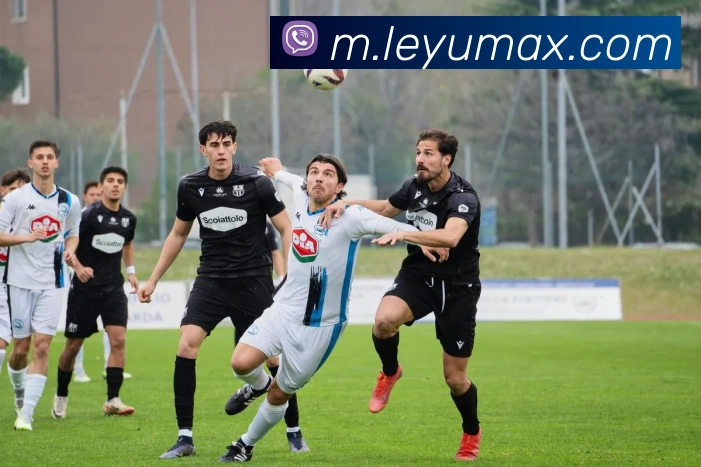 乐鱼体育服务体系