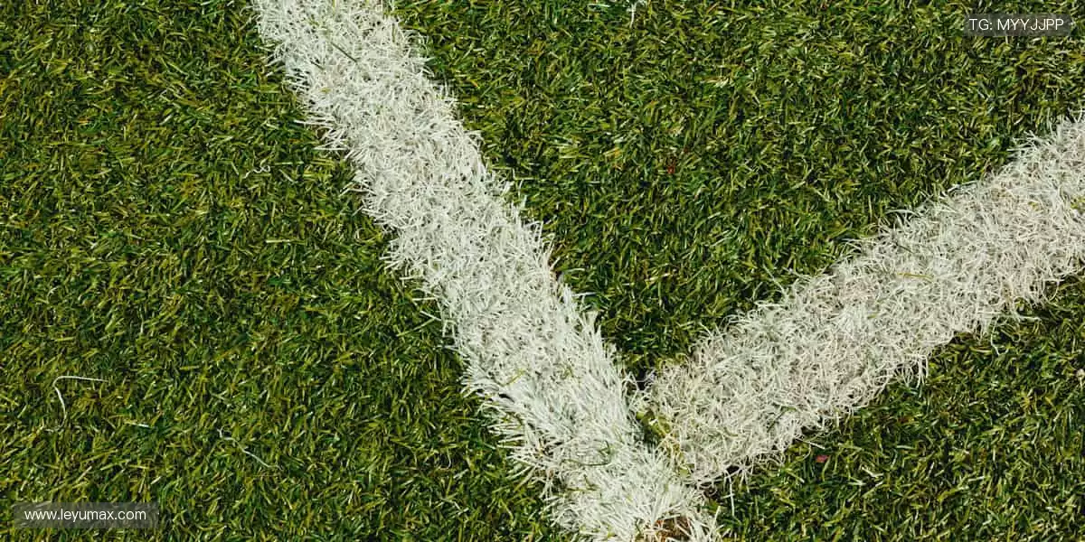 🏆冠军同款，与偶像共享荣耀时刻！